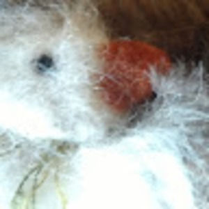 Meet your Posher, Elisha